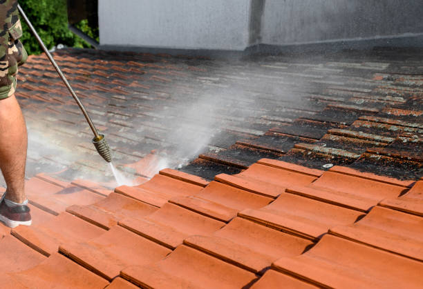 Best Pressure Washing Brick  in Merrill, WI